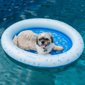 Boia Inflável para Pets – PoolCandy